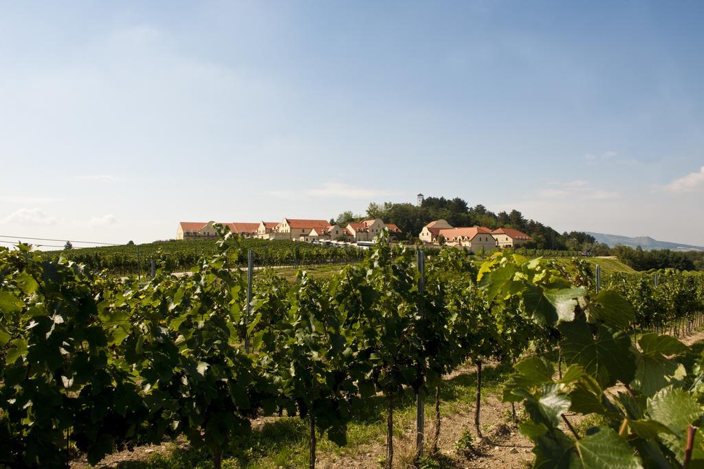 Vinarstvi U Kaplicky Hotel Zajeci Luaran gambar
